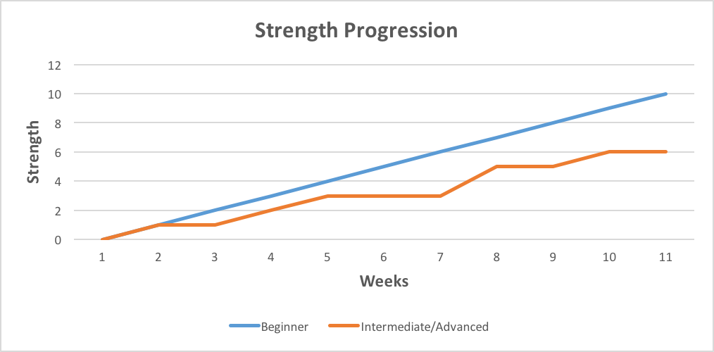 shows how strength progression for a beginner is more rapid and linear versus an intermediate or advanced lifter