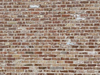 This brick wall serves as an analogy of proteins and muscle.  Each brick represents an amino acid.  Muscle protein synthesis is adding bricks to the wall.